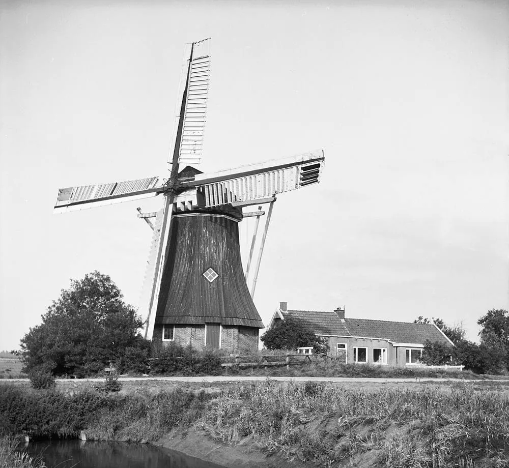 T Waar: Watermolen van de polder De Dellen, overzicht - Waar, 't - 20248138 - RCE
